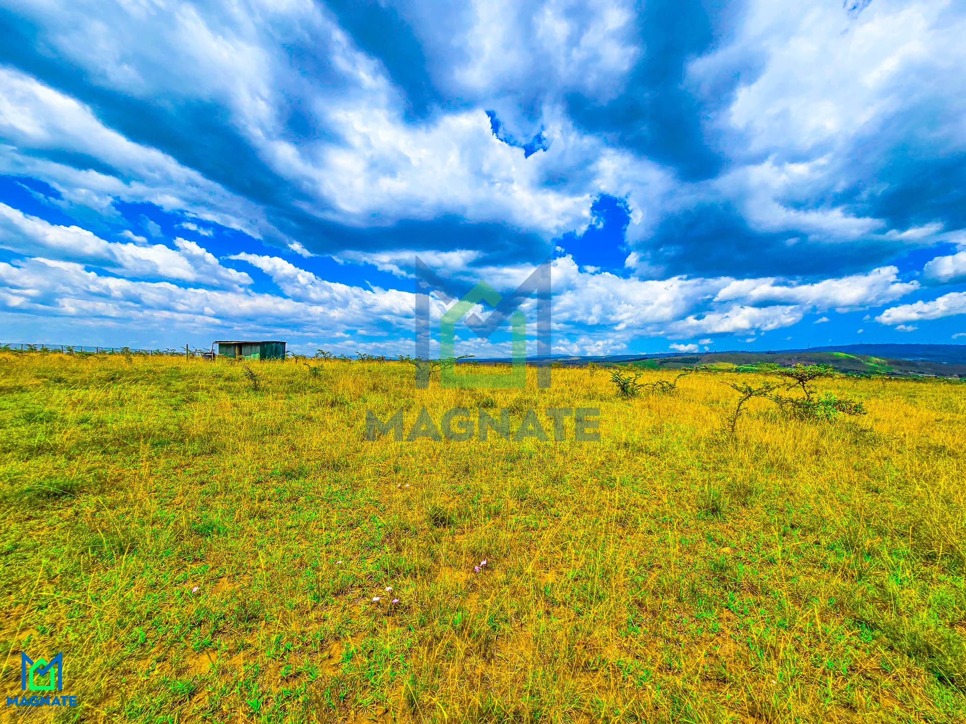 Keystone Garden - Longonot