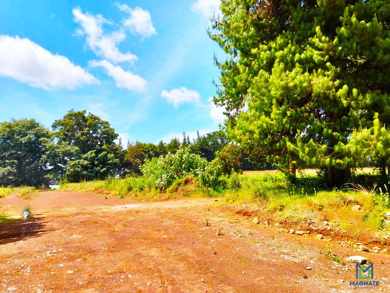 Stables Waiyaki Way - View 5